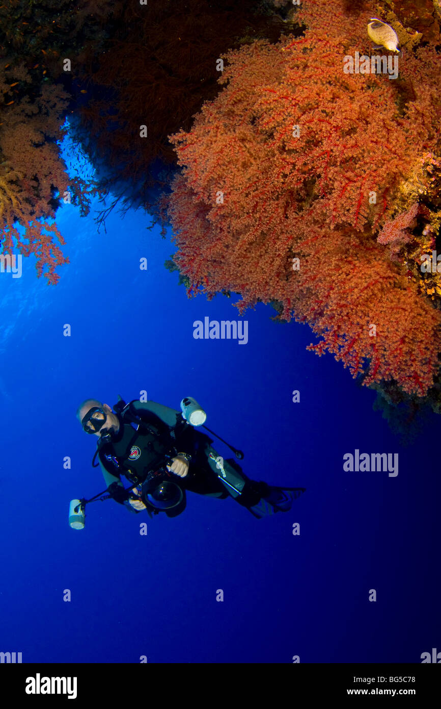 Underwater photographer scuba diving, Red sea, coral reef, tropical reef, blue water, clear water, visibility, ocean, sea Stock Photo