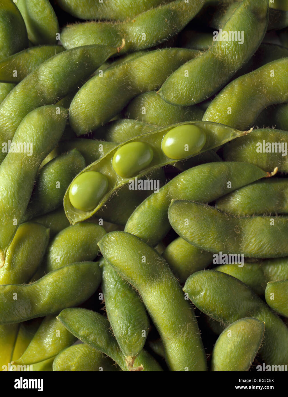 Fresh soybeans with pod opened Stock Photo Alamy
