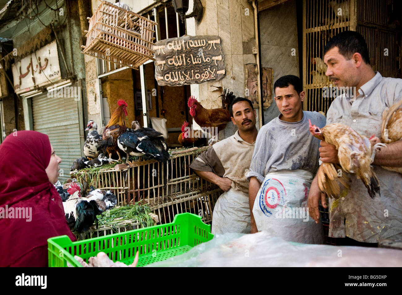Chicken capital of the world hires stock photography and images Alamy