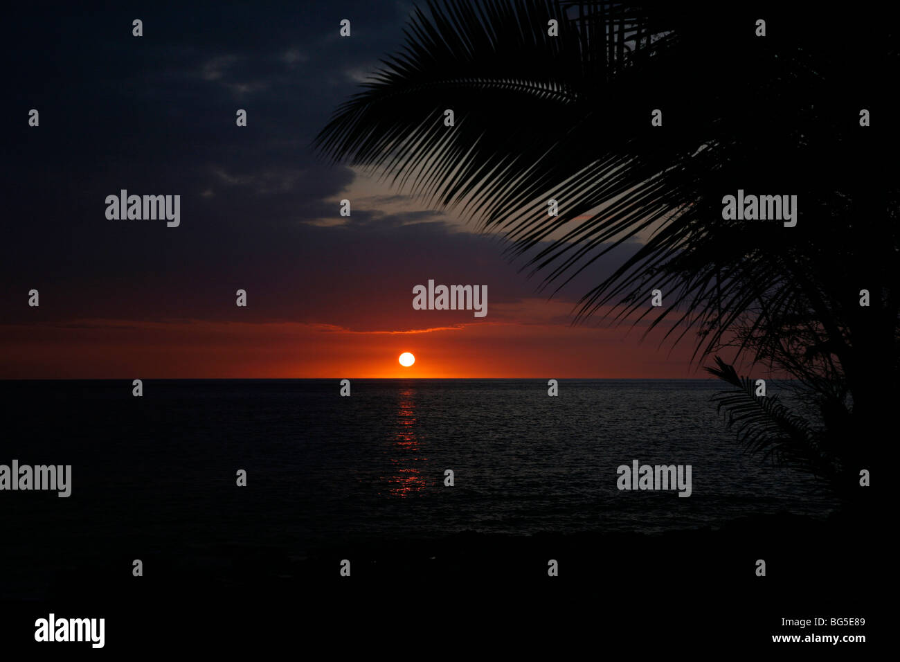 Tropical sunset Stock Photo