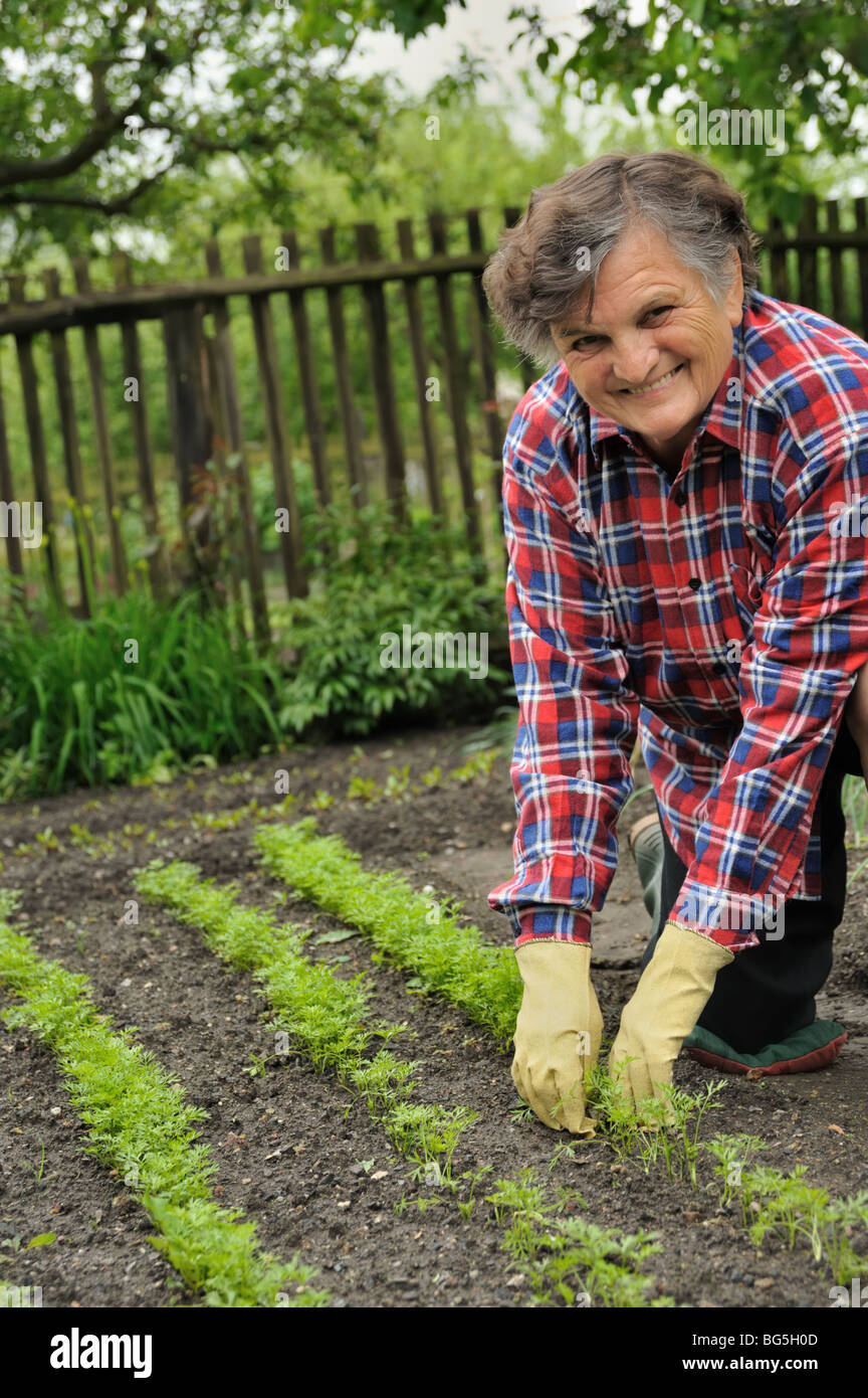 Senior woman gardening Stock Photo - Alamy