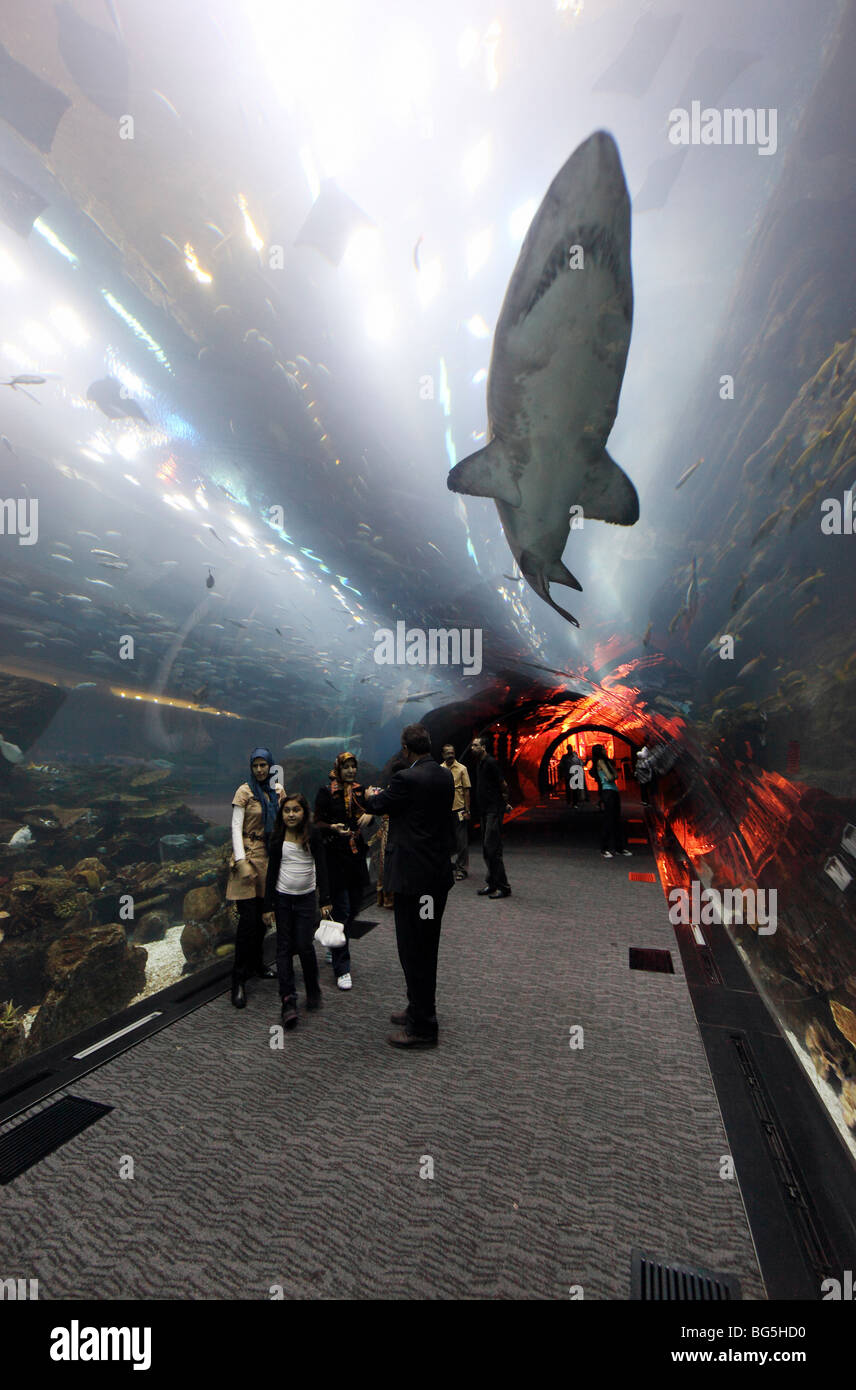 Visitors of the Dubai Aquarium at the Mall of Dubai, United Arab Emirates Stock Photo