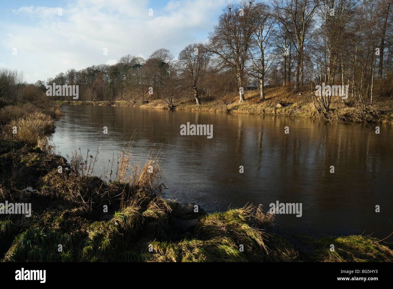 Teviot Water Gardens and garden centre near Kelso Scottish Borders UK