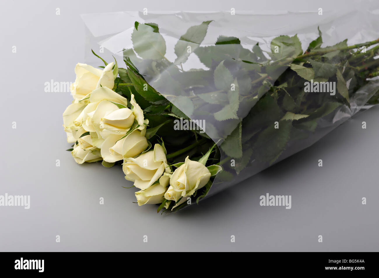 Bouquet of yellow roses wrapped in transparent cellophane Stock Photo Alamy