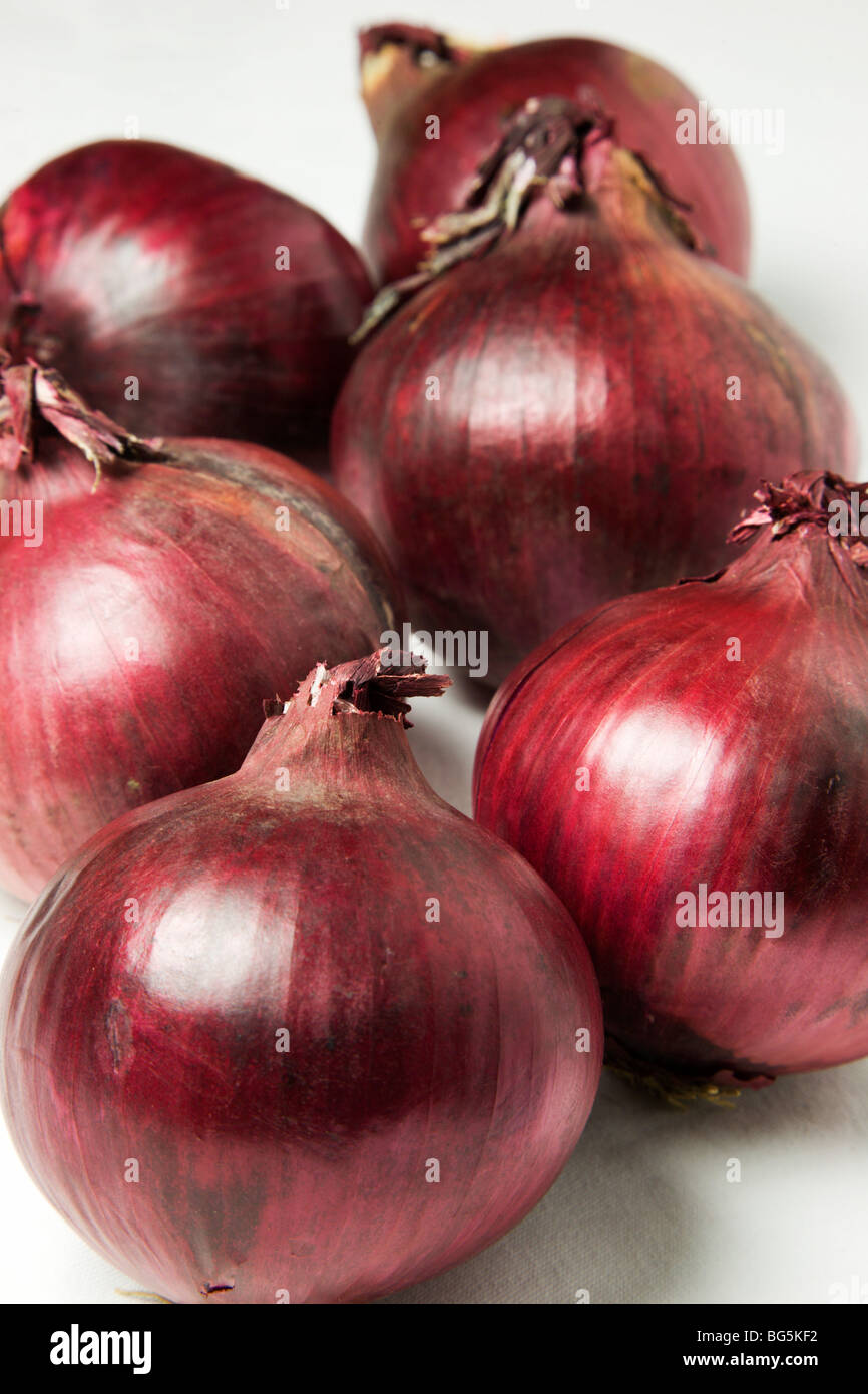 Red Onions and a White Background Stock Photo