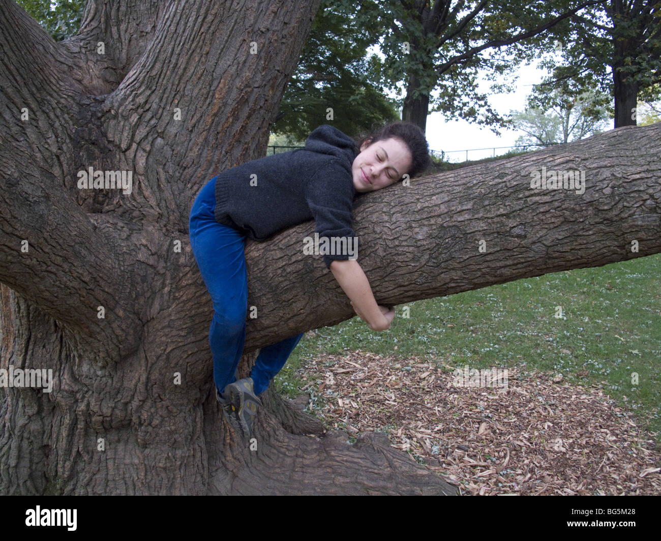 Young woman hugs a branch on a big elm tree. Stock Photo