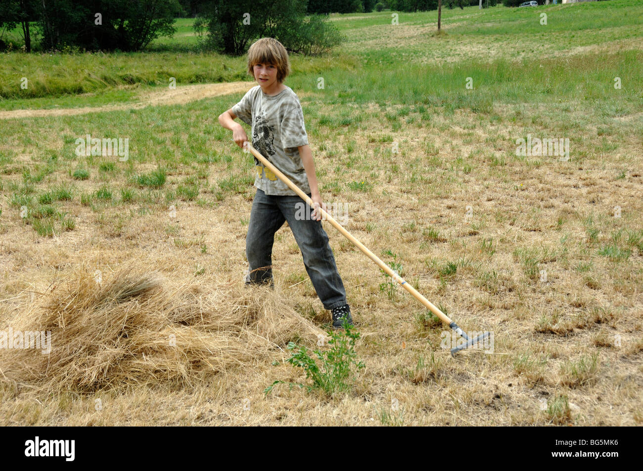 TwelveYear Old Boy Raking Hay in Field, Southern French Alps Stock
