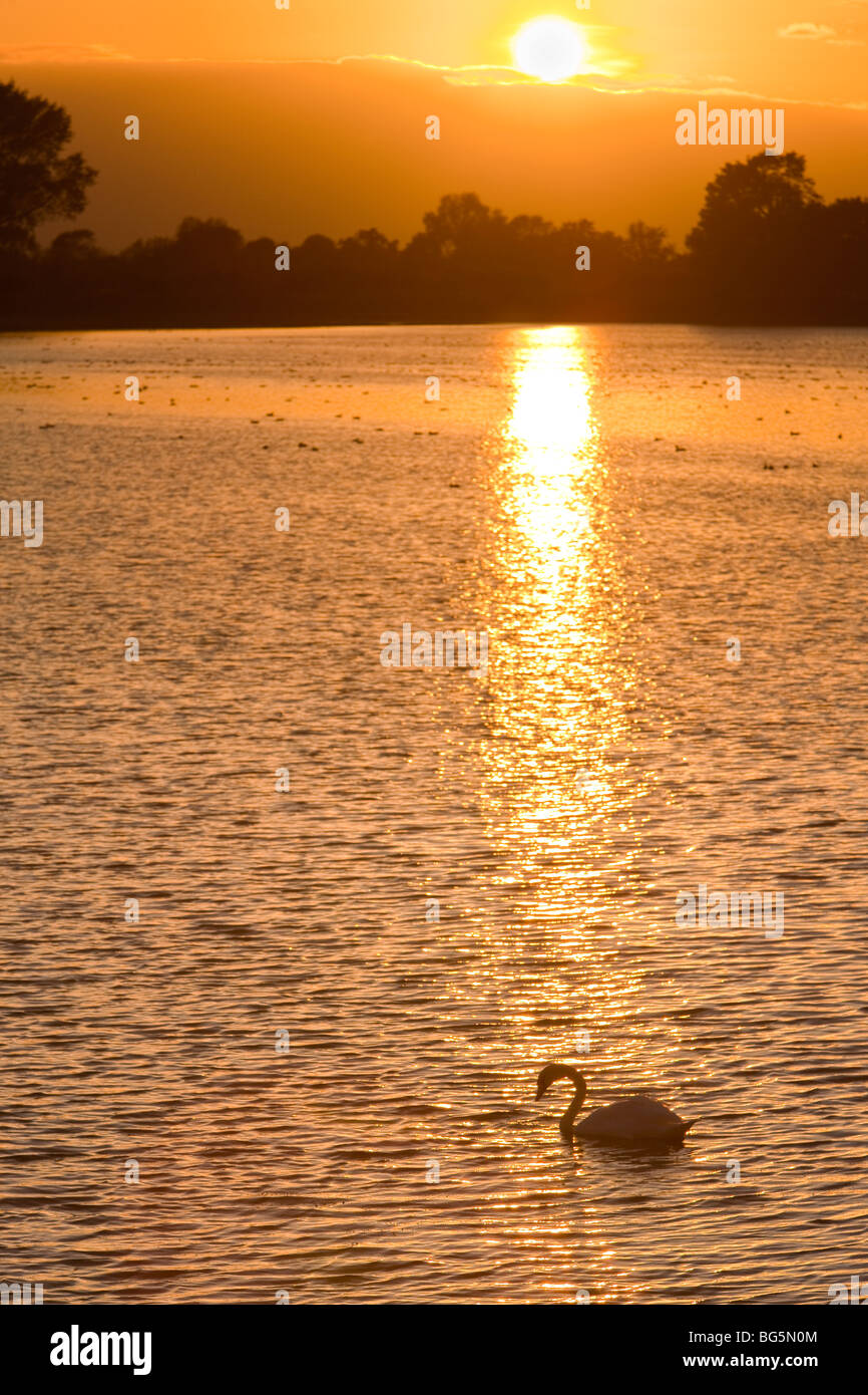 Wilstone Reservoir Tring at sunset Stock Photo Alamy