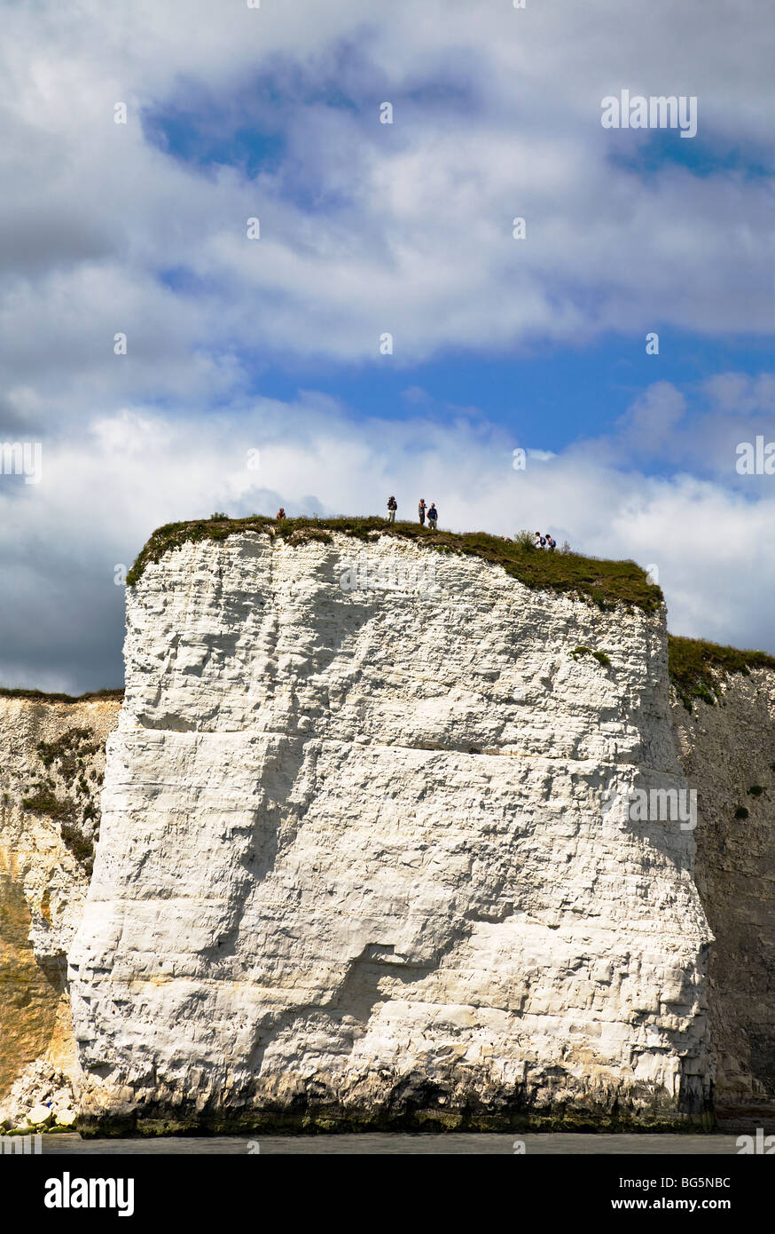 People standing on the clifftop at Handfast Point, by Old Harry Rocks. Dorset coast. UK. Stock Photo