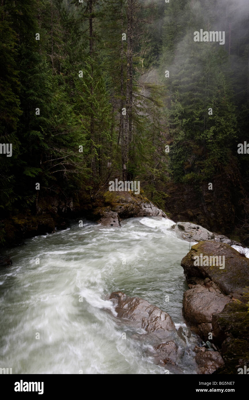 Nooksack Falls is fed by the glacial waters of Mt. Shuksan and flows