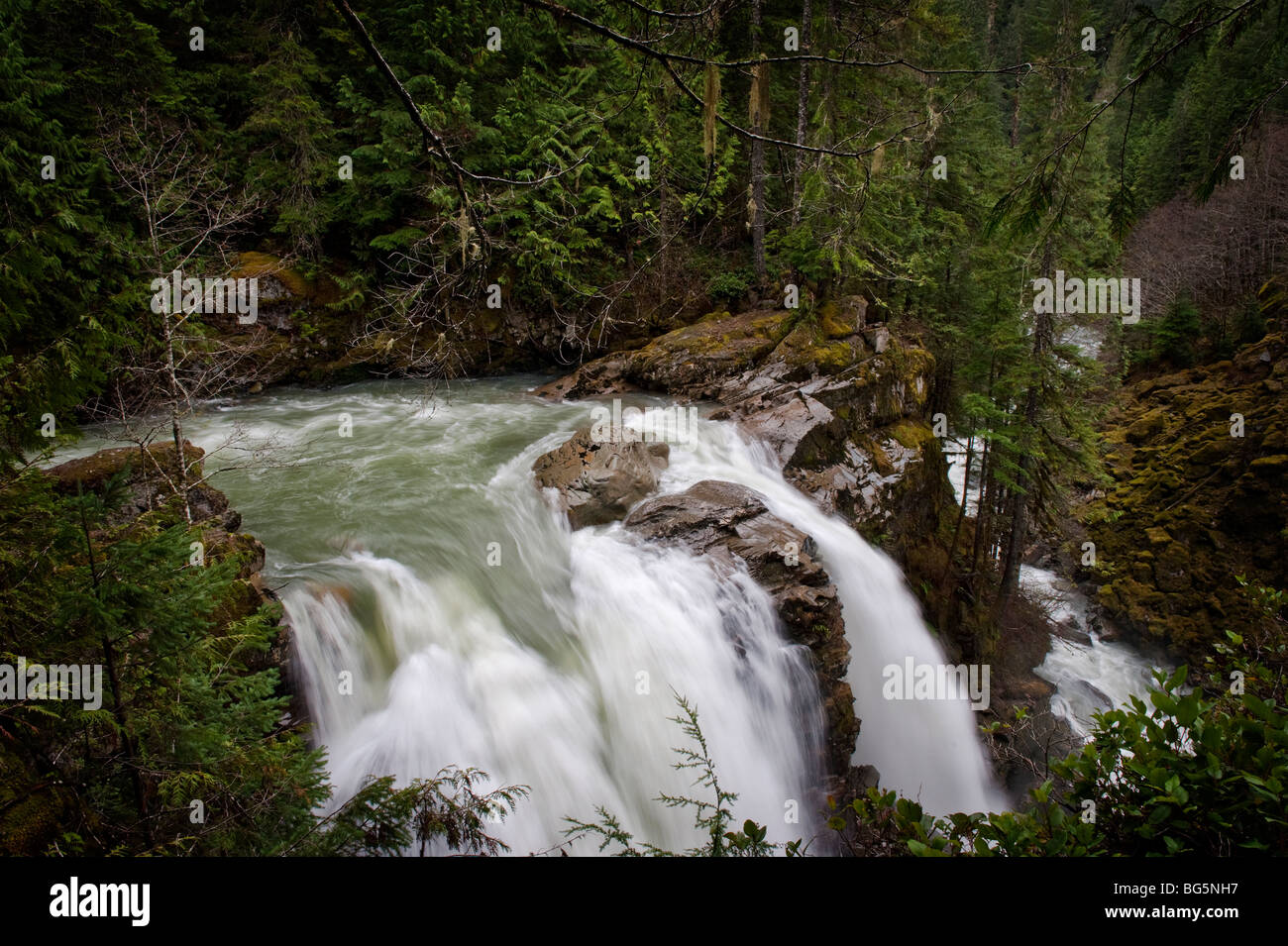 Nooksack Falls is fed by the glacial waters of Mt. Shuksan and flows