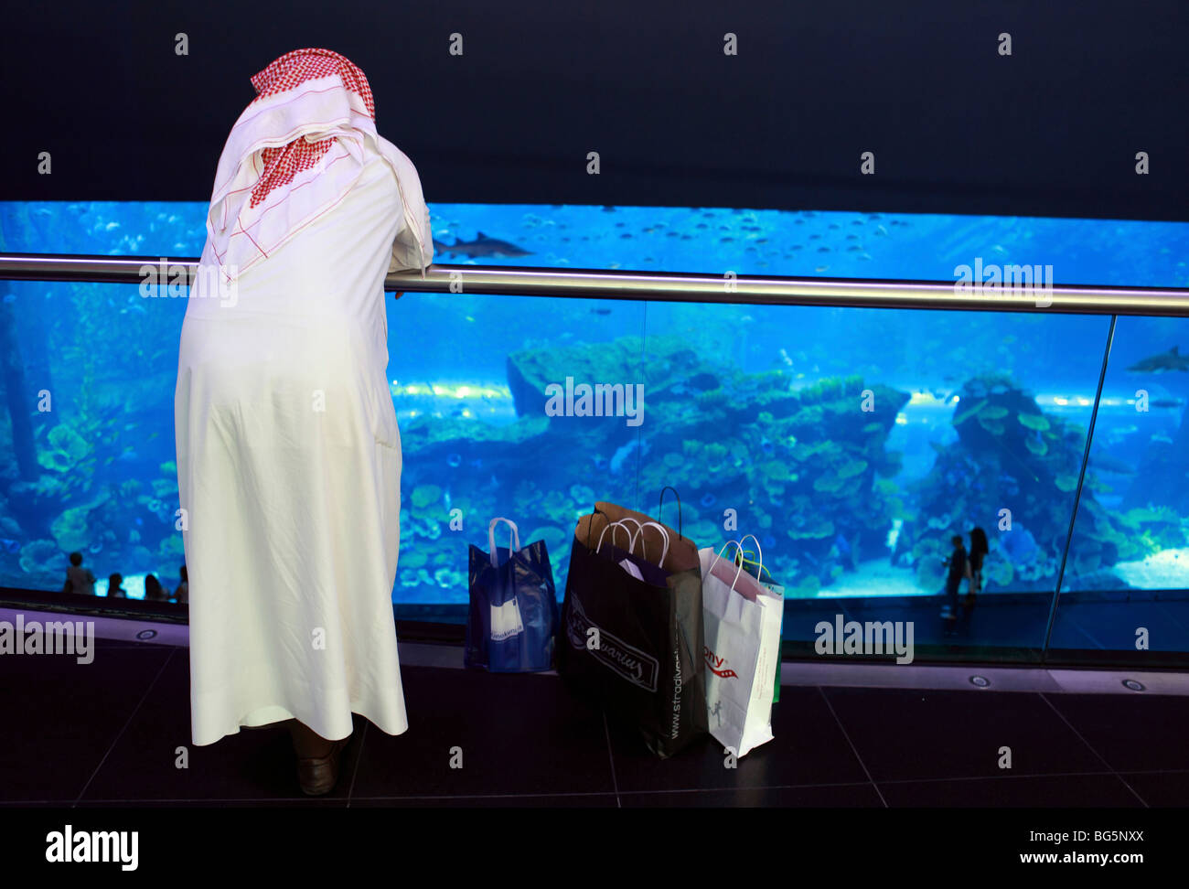 An Arab looking at the Dubai Aquarium at the Mall of Dubai, United Arab Emirates Stock Photo