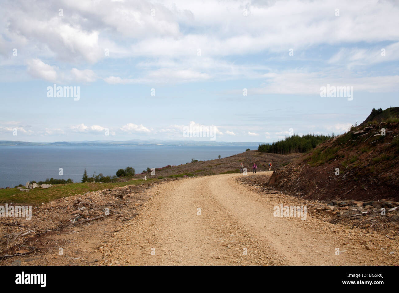 Forest track, The Isle of Arran, Scotland, June 2009 Stock Photo - Alamy