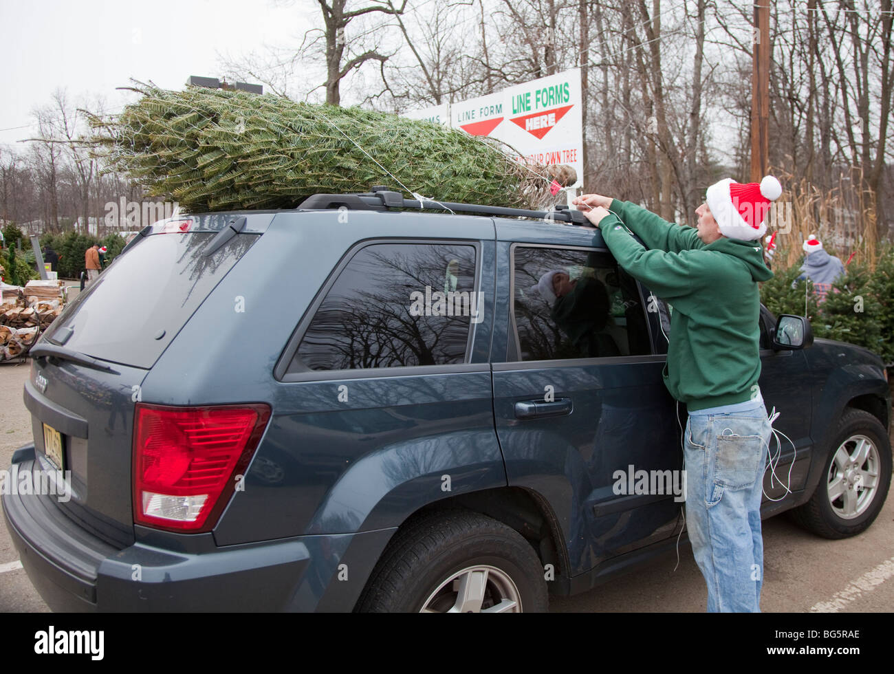 Man tying a Christmas tree to the top of an automobile Stock Photo Alamy