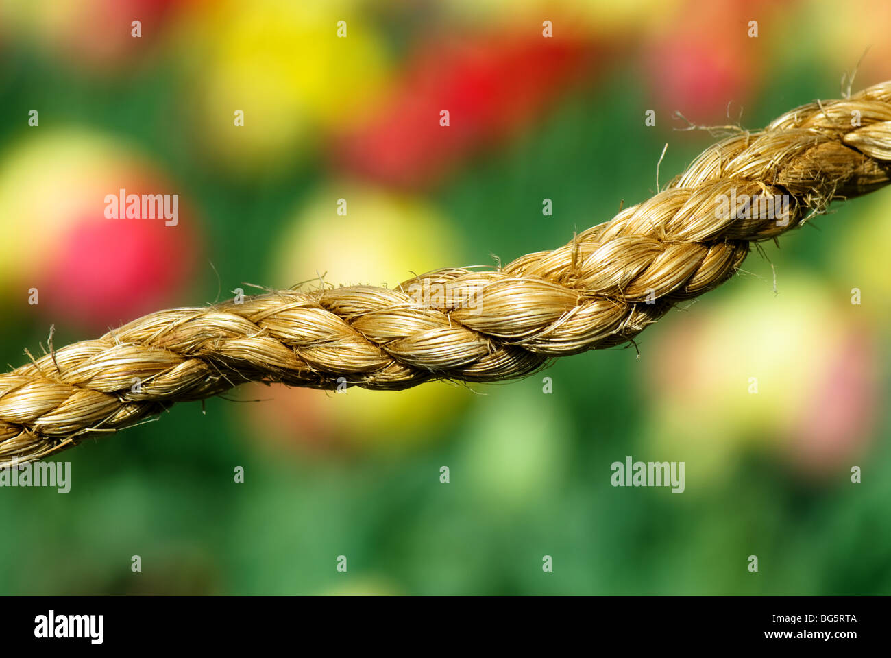 A twisted and frayed rope used as a barrier to keep visitors from ...