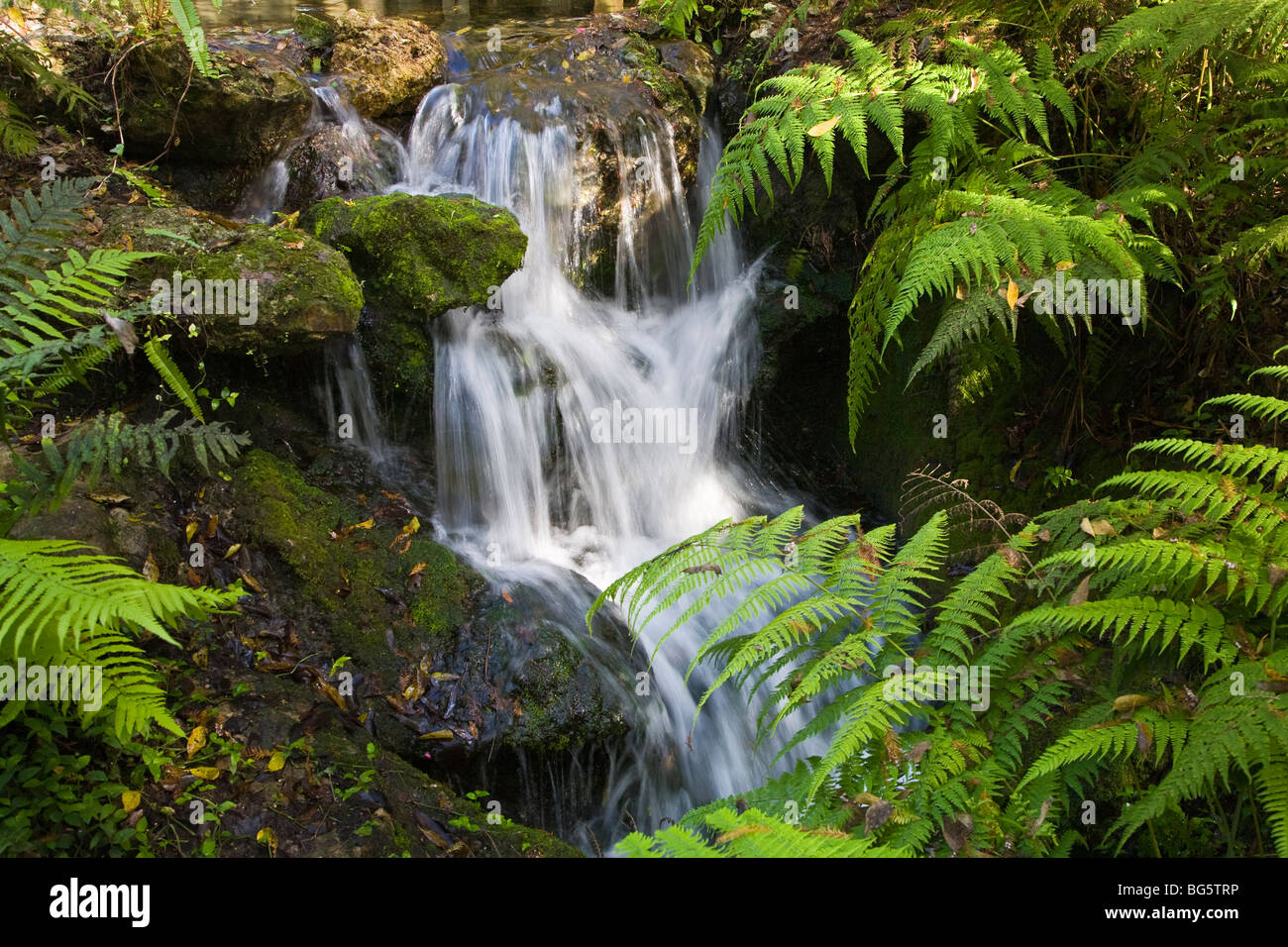 Small waterfalls in Rainbow Springs State Park Florida Stock Photo