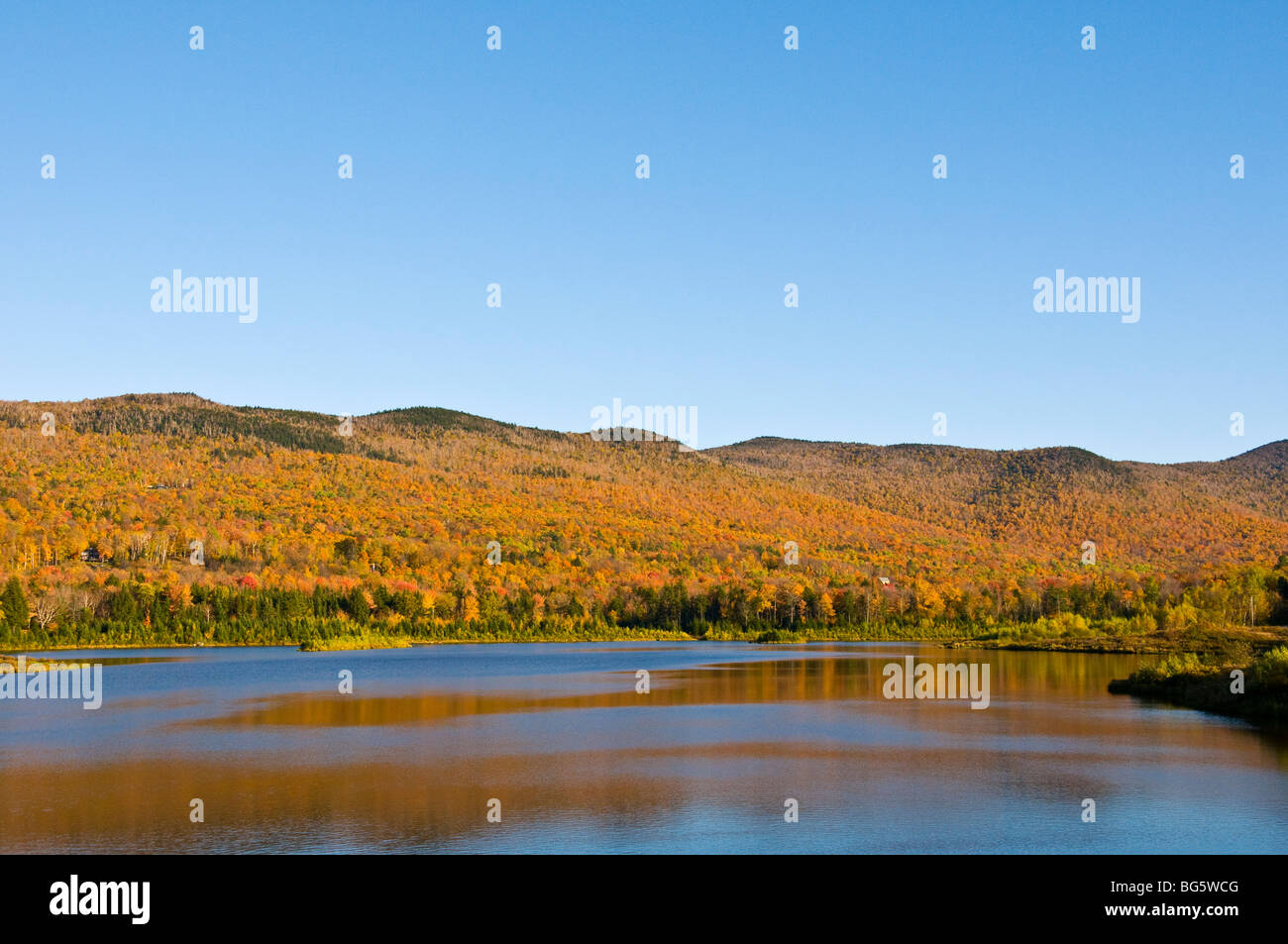 Blueberry Lake Vermont United States Stock Photo Alamy