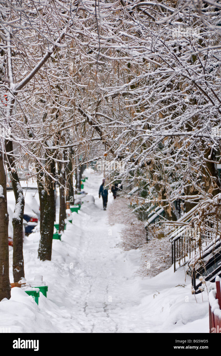 Saint Famille street in the winter Montreal canada Stock Photo Alamy