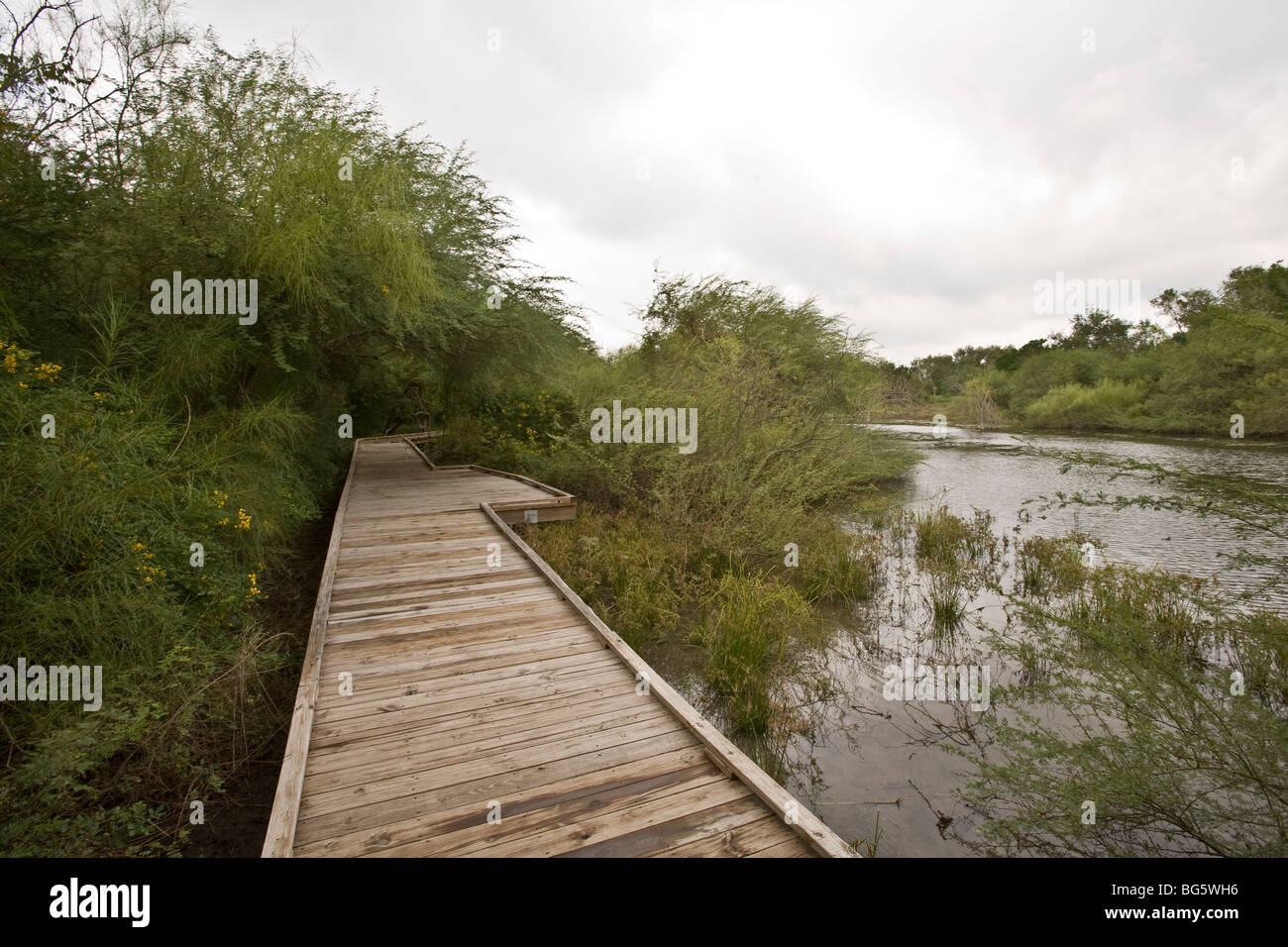Resaca de la Palma State Park preserves 1,200 acres of wetland mature