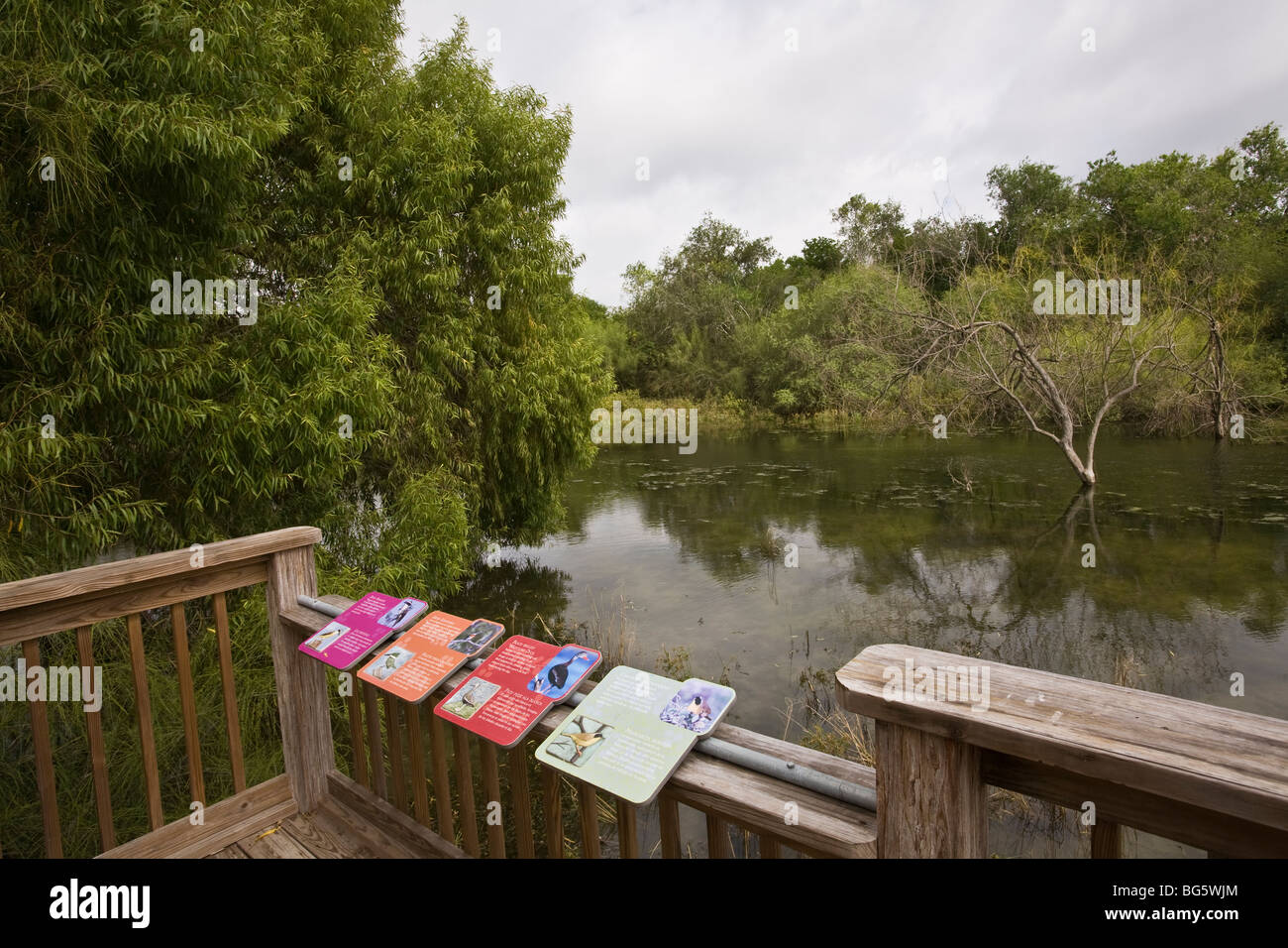 Resaca de la Palma State Park preserves 1,200 acres of wetland mature