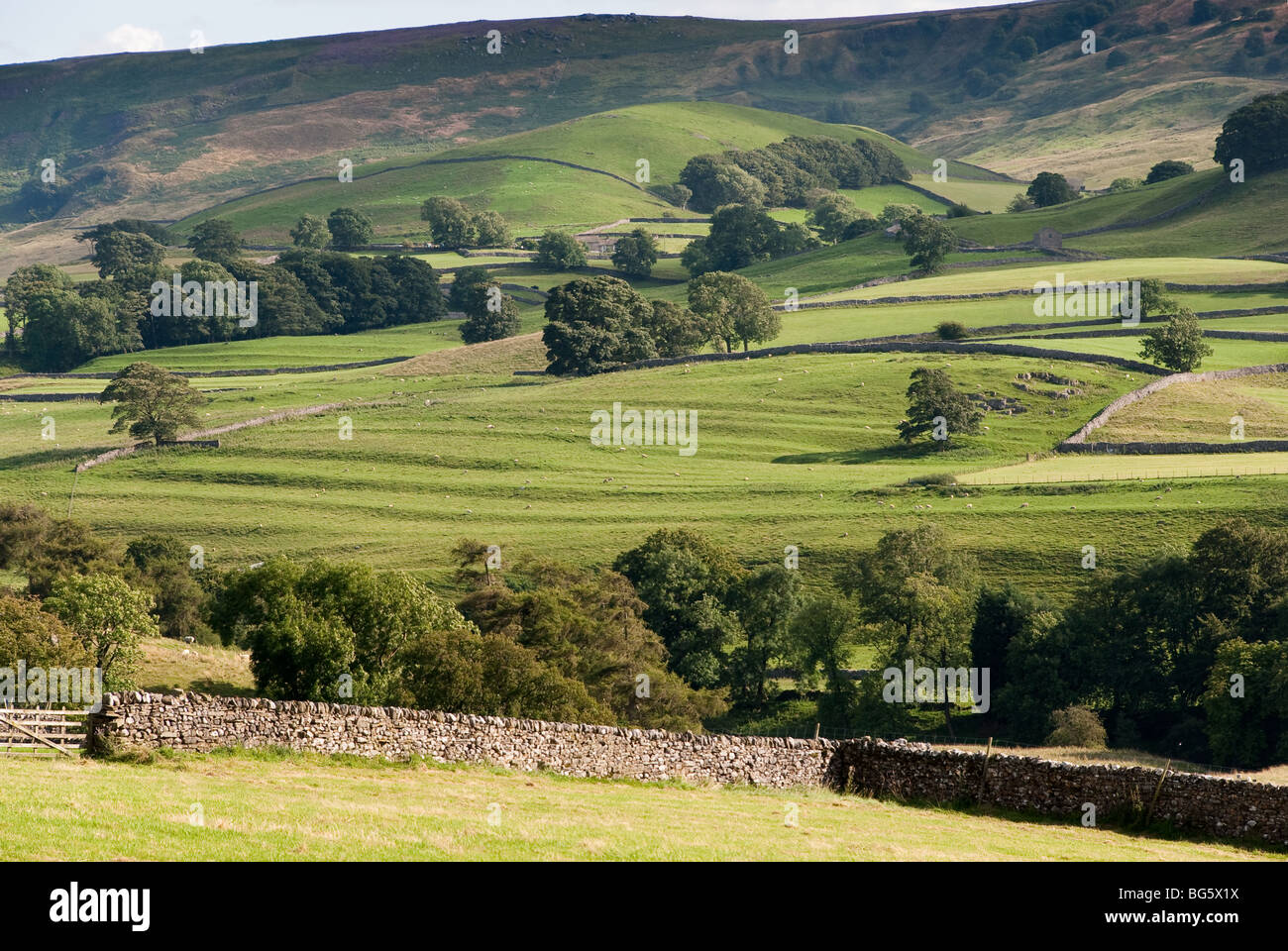 Yorkshire dales scenery near Summerbridge Stock Photo