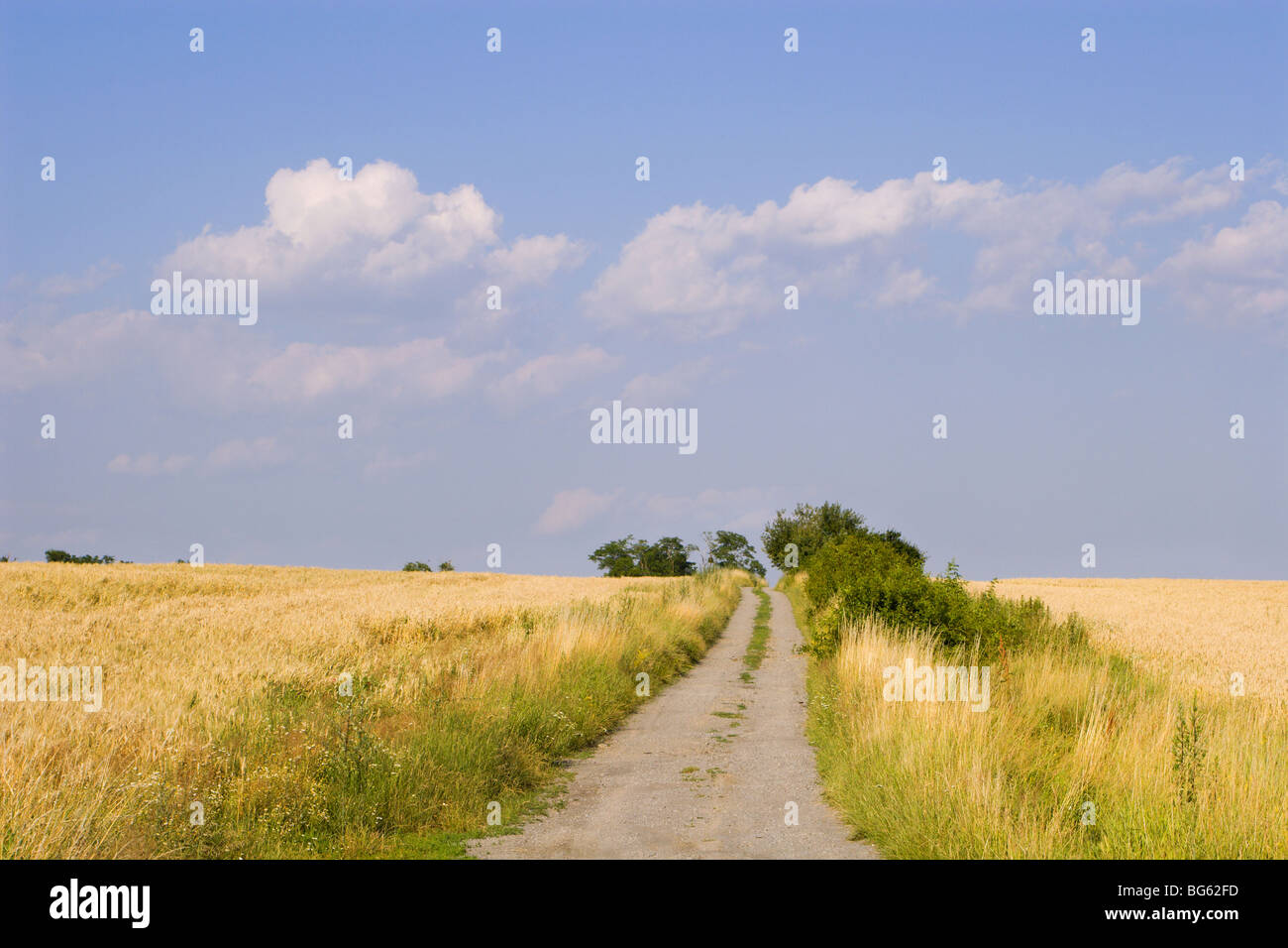 Old cart country lane hi-res stock photography and images - Alamy