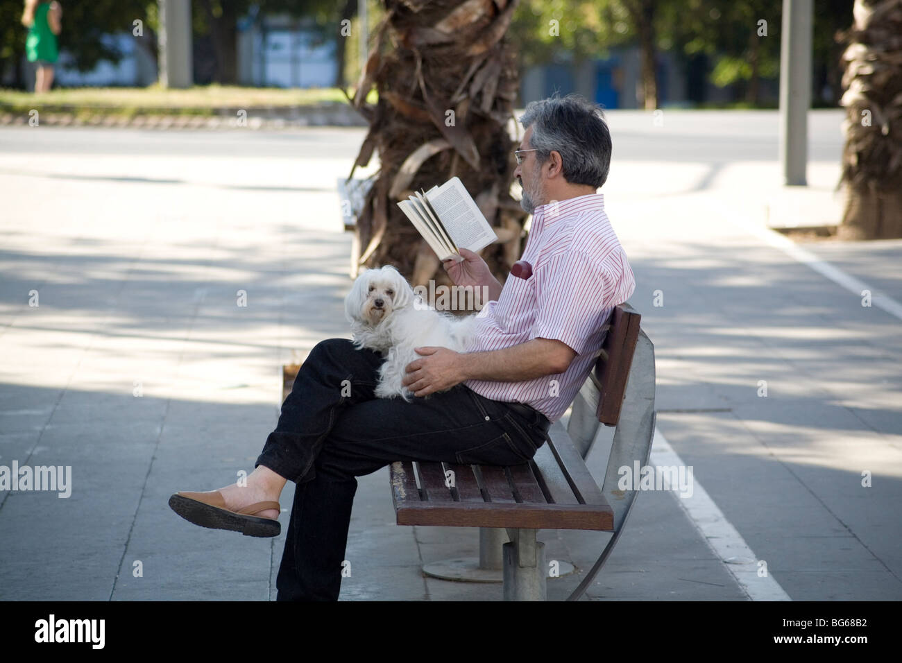 A man reading a book during siesta with a dog on his lap Barcelona Spain Stock Photo