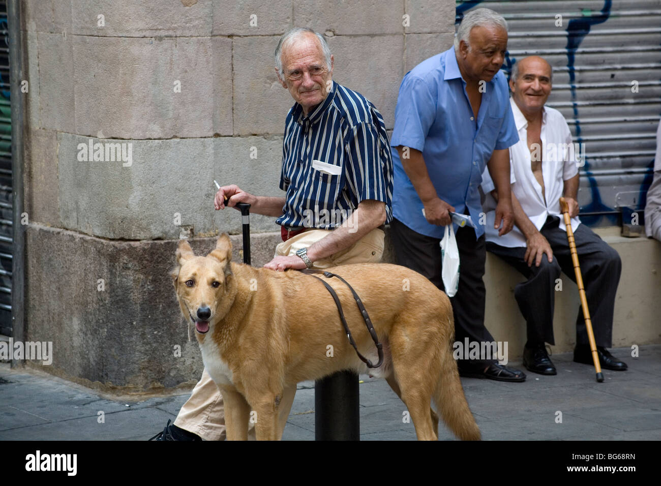 Old men take it easy with pet dogs and walking sticks during siesta in a back street of the Raval area of Barcelona Catalonia Spain Stock Photo