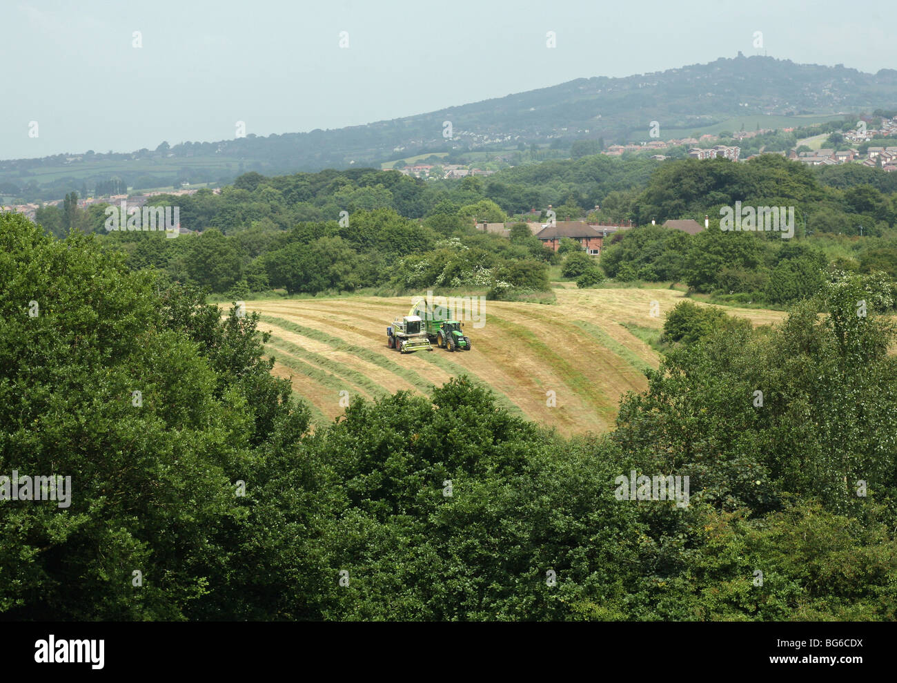 A tractor and a harvester gathering silage in a field with Mow Cop castle folly in the background Stock Photo