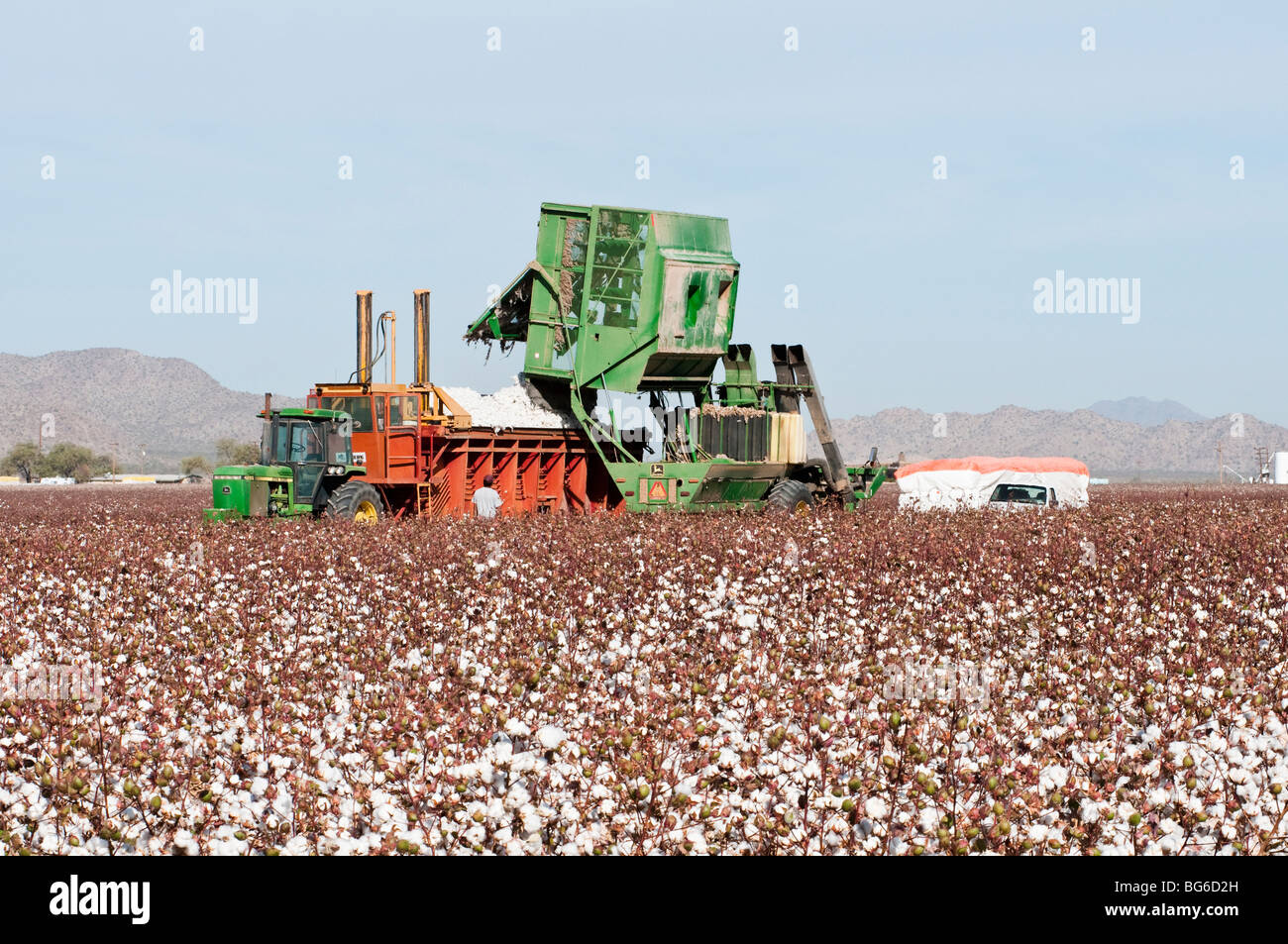 Cotton Module Builder High Resolution Stock Photography and Images - Alamy