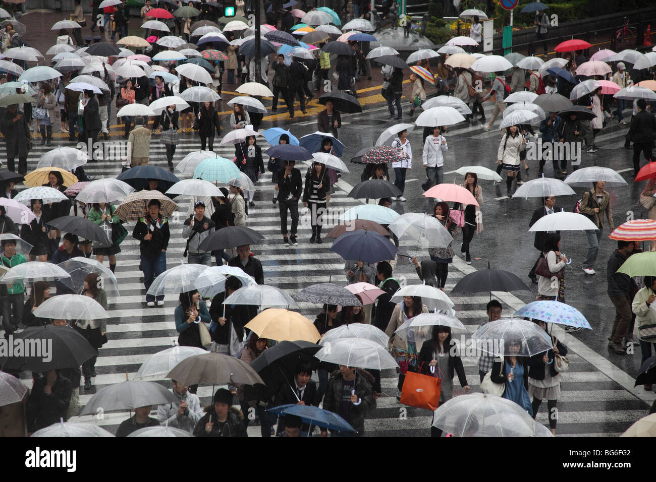 Umbrellas at Shibuya, Tokyo Stock Photo - Alamy