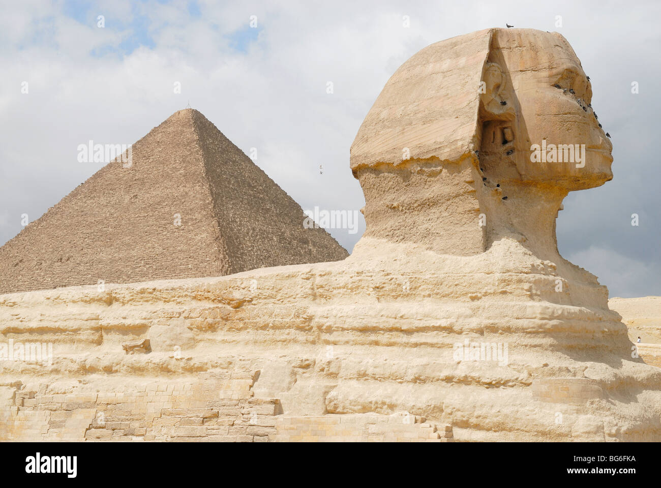 Statue of the Great Sphinx, Giza Plateau, Egypt Stock Photo Alamy