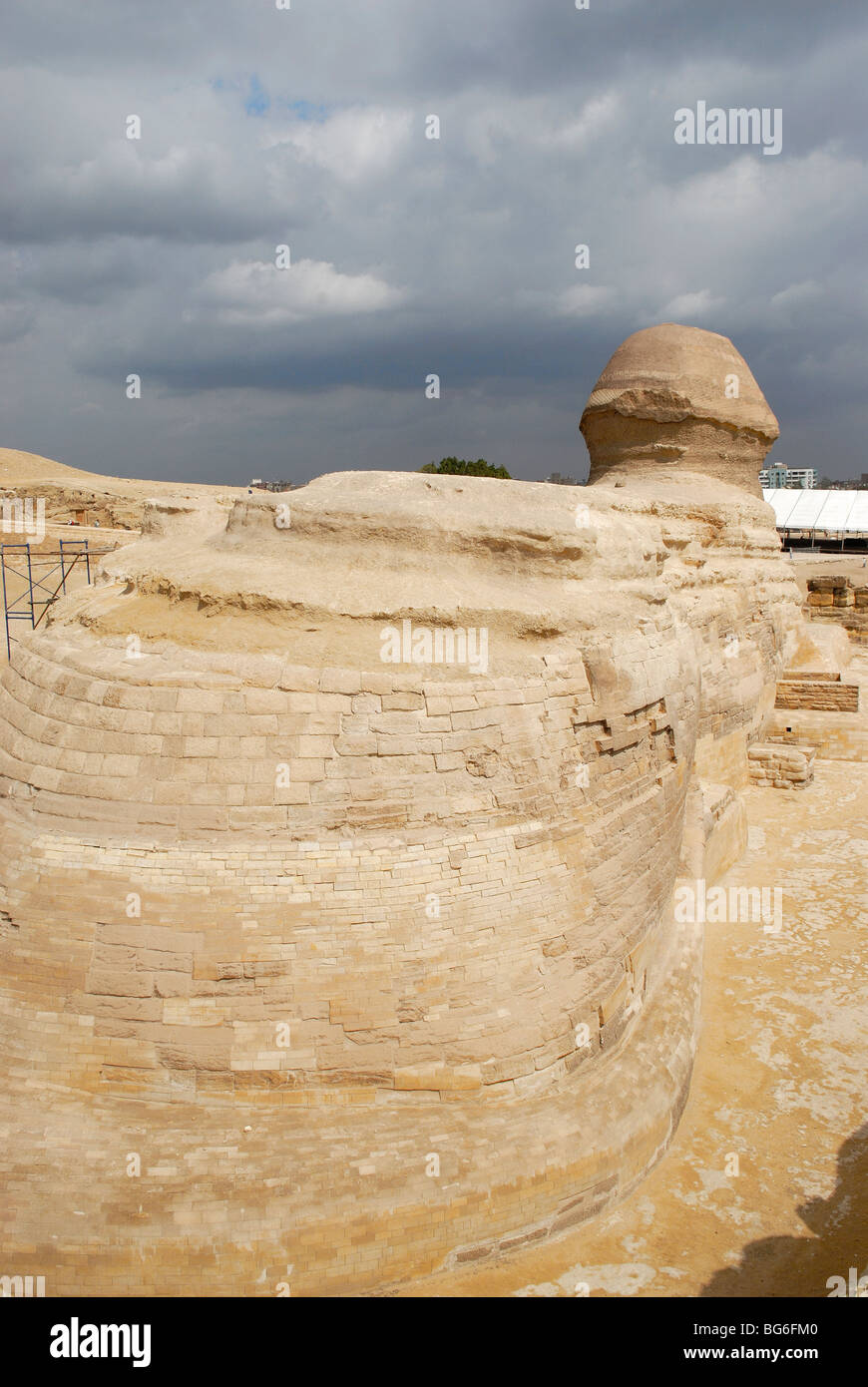 Statue of the Great Sphinx, Giza Plateau, Egypt Stock Photo - Alamy