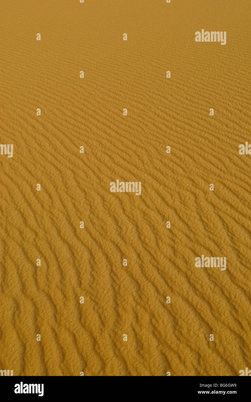 Sand dune in the Western desert of Egypt Stock Photo