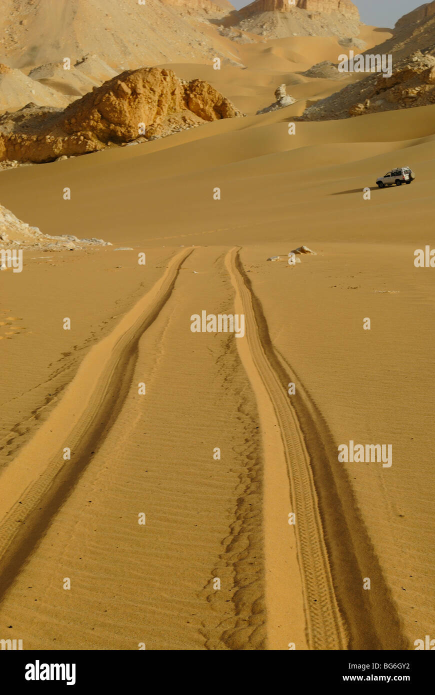 Car tracks on the sand in the Western desert of Egypt Stock Photo