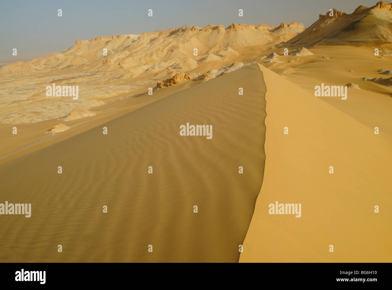 Top of a yellow sand dune in the Western desert of Egypt Stock Photo