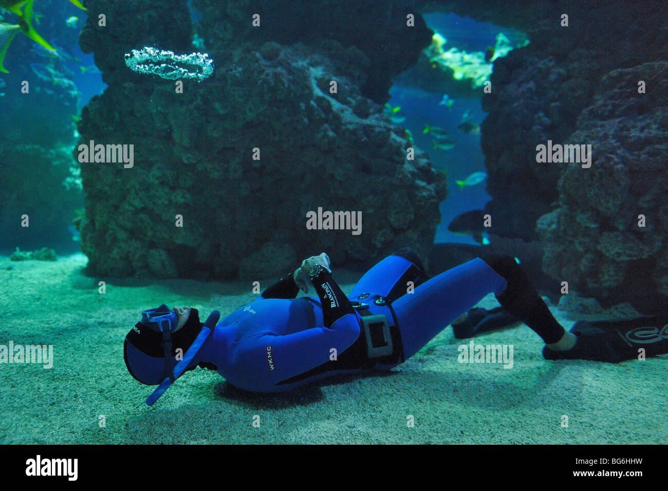 Free diver bubbling in the shark tank of the aquarium of Monaco Stock Photo