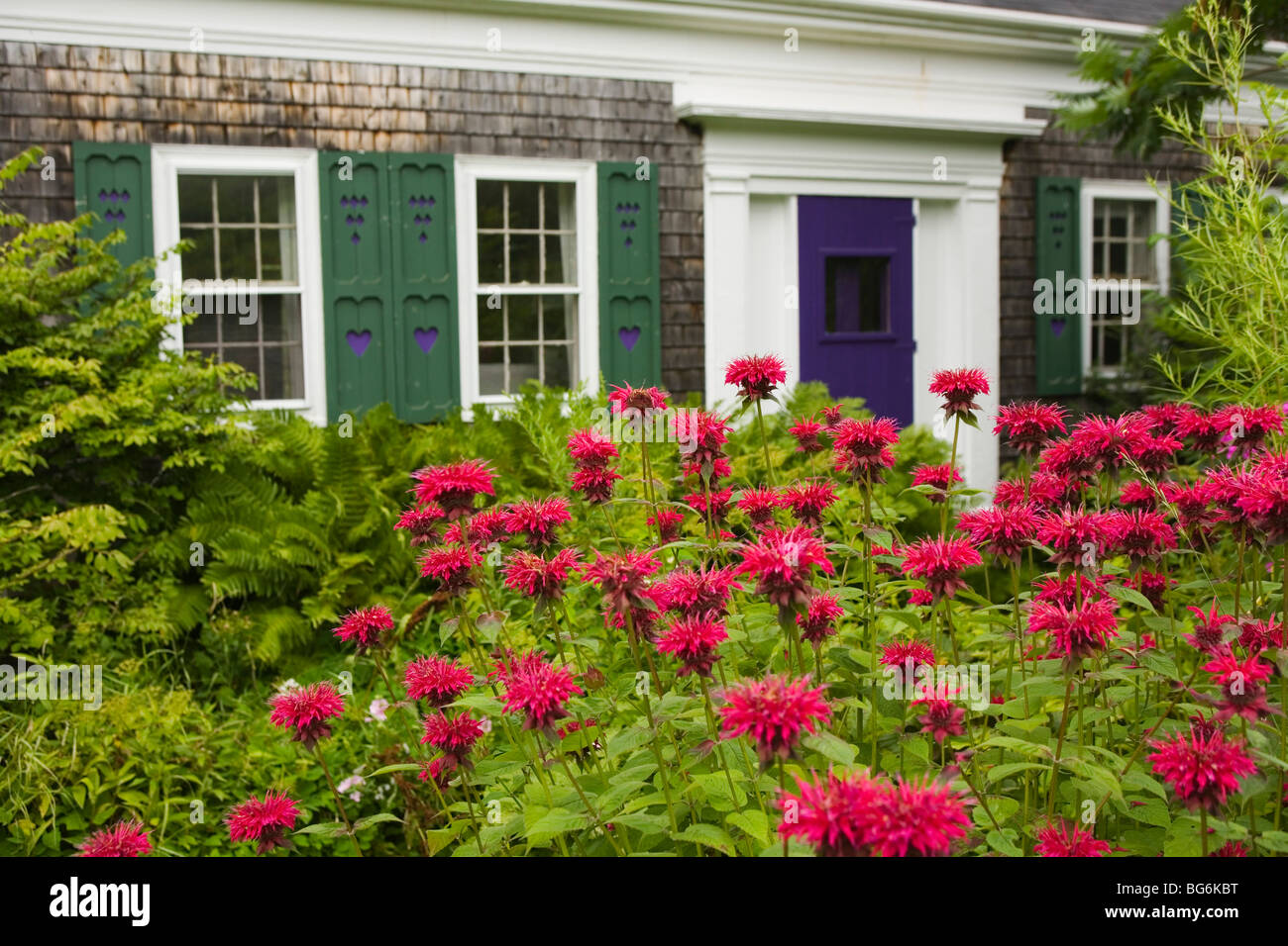 House in Camden Maine Stock Photo Alamy