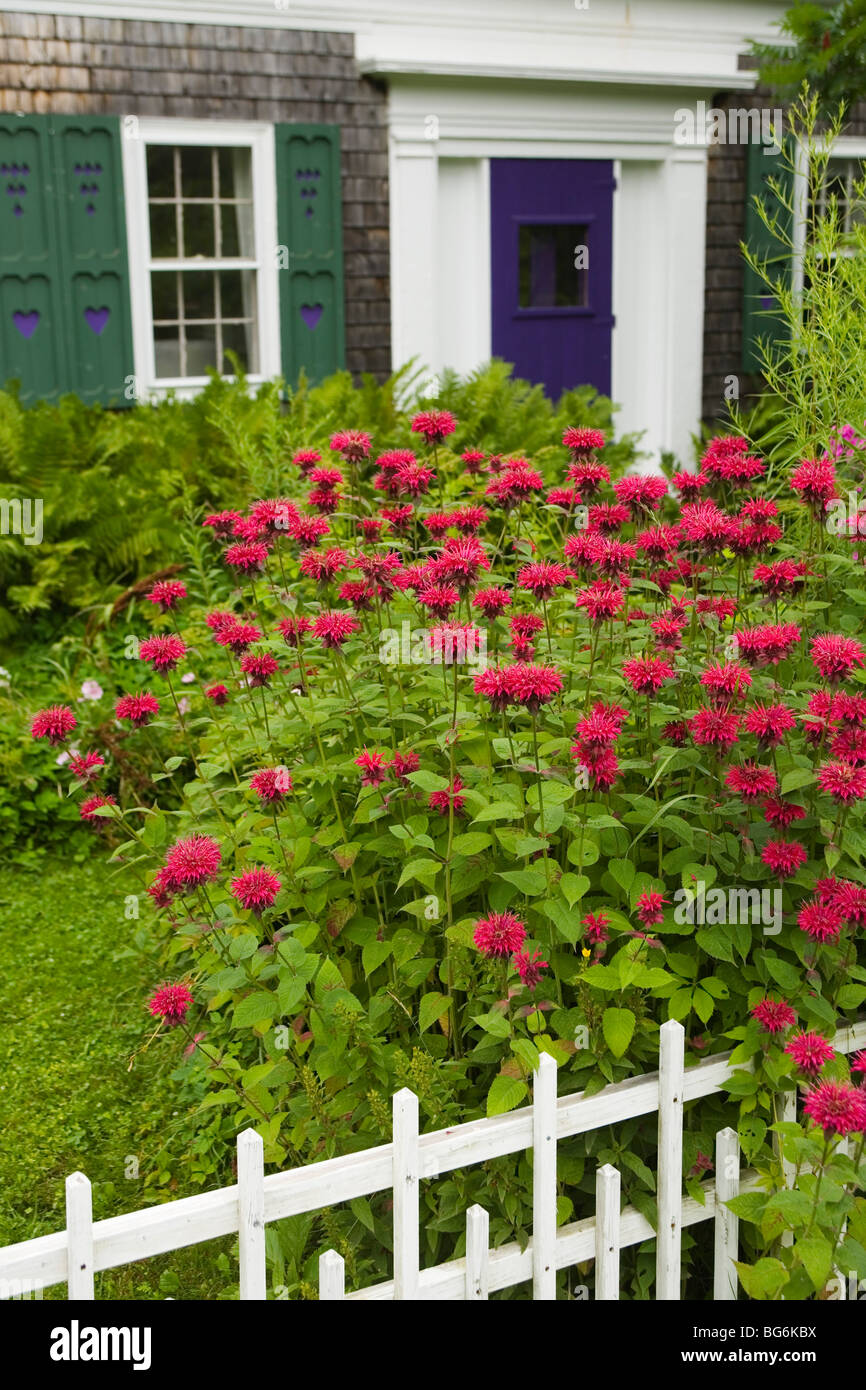 House in Camden Maine Stock Photo Alamy