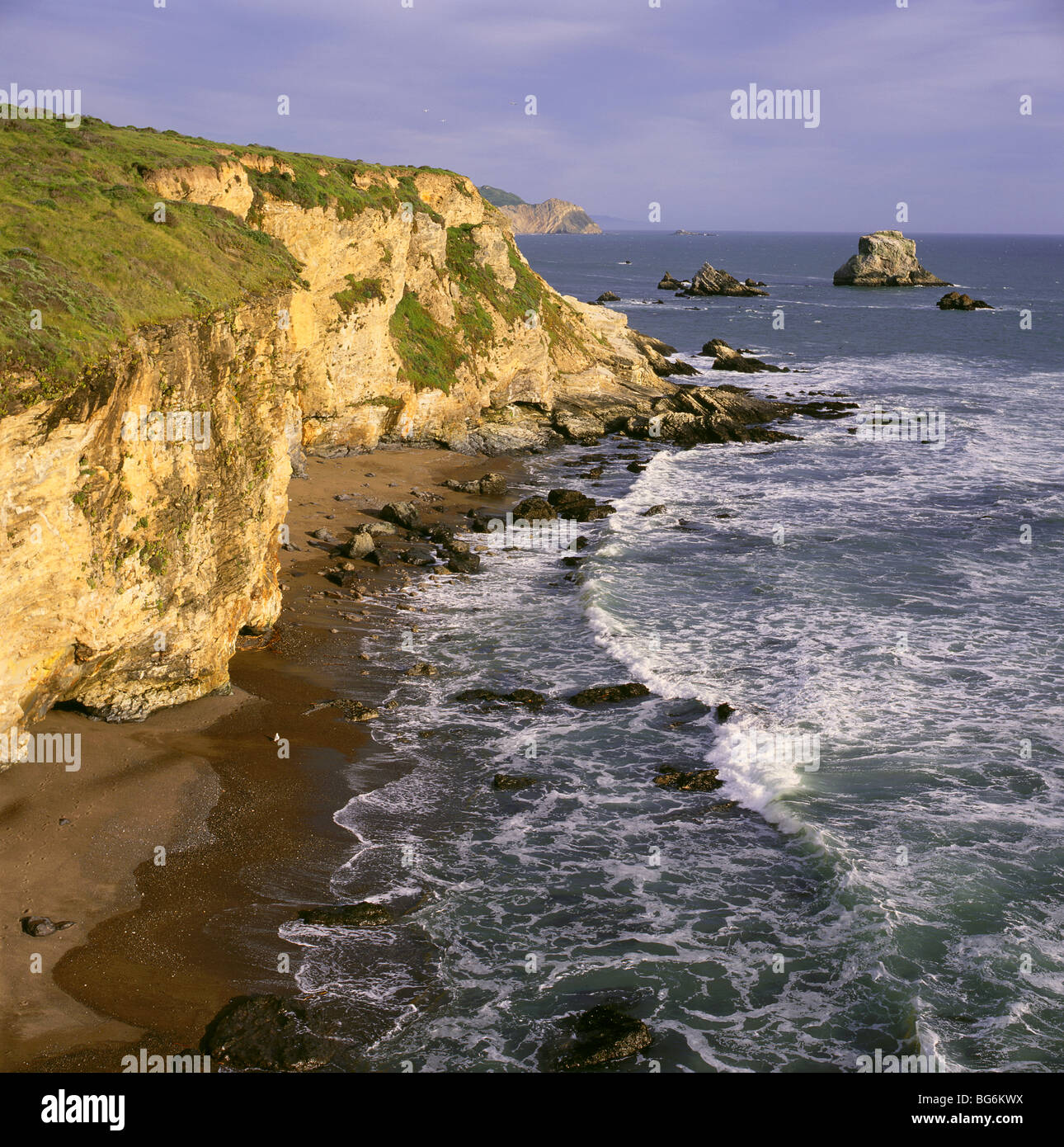 CALIFORNIA - Pacific Coast south of Arch Rock in Point Reyes National Seashore. Stock Photo