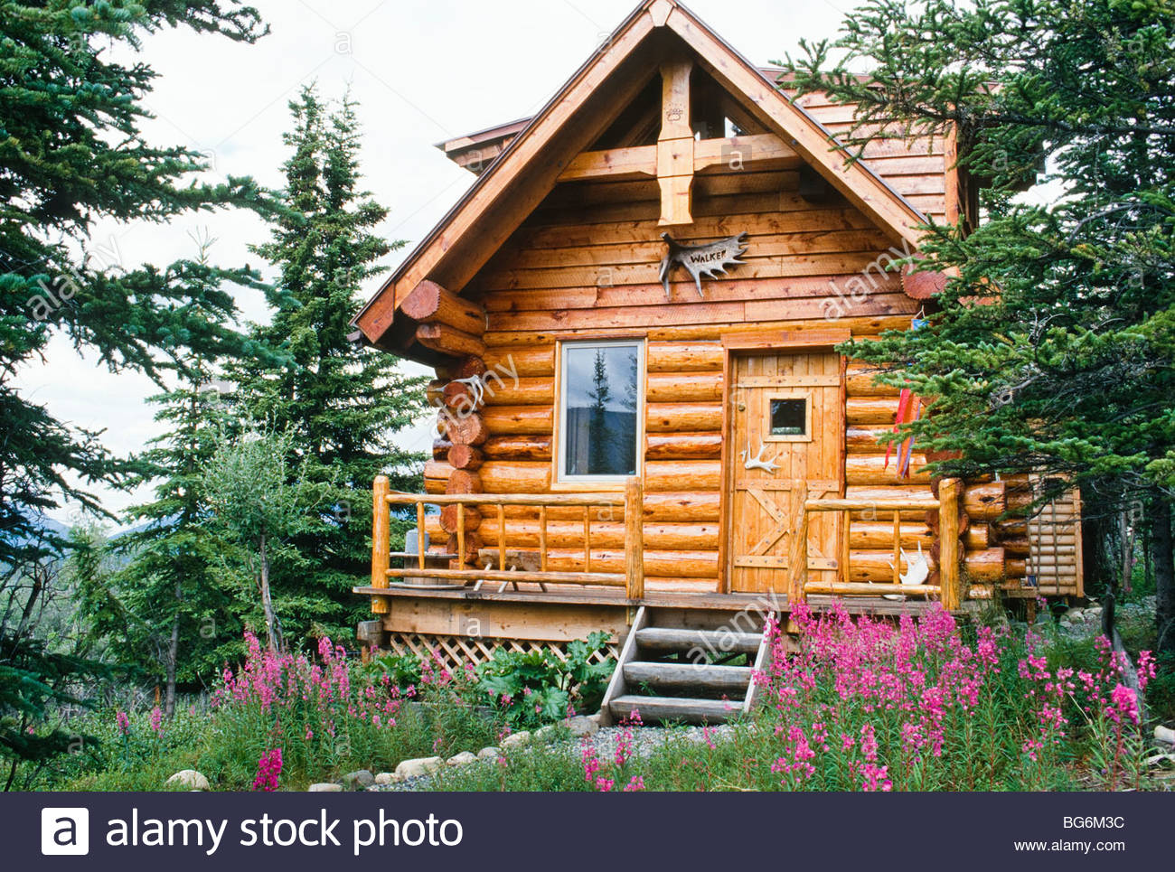 Denali Wilderness Cabin Stock Photos Denali Wilderness Cabin
