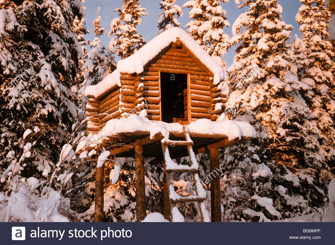 Alaska A Traditional Log Cabin Structure On Poles Used As A