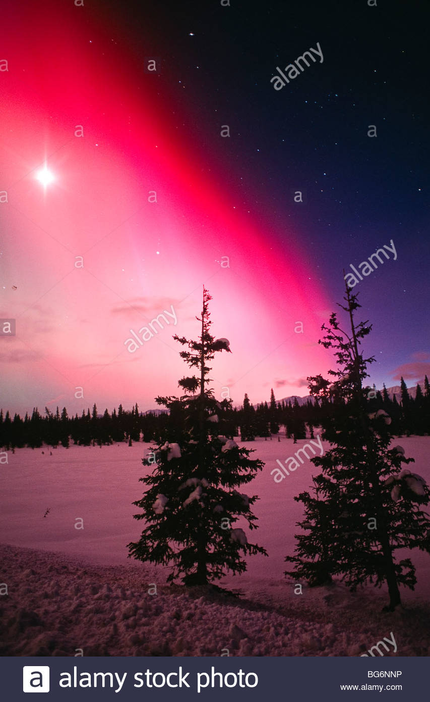 Cantwell Stock Photos & Cantwell Stock Images Alamy