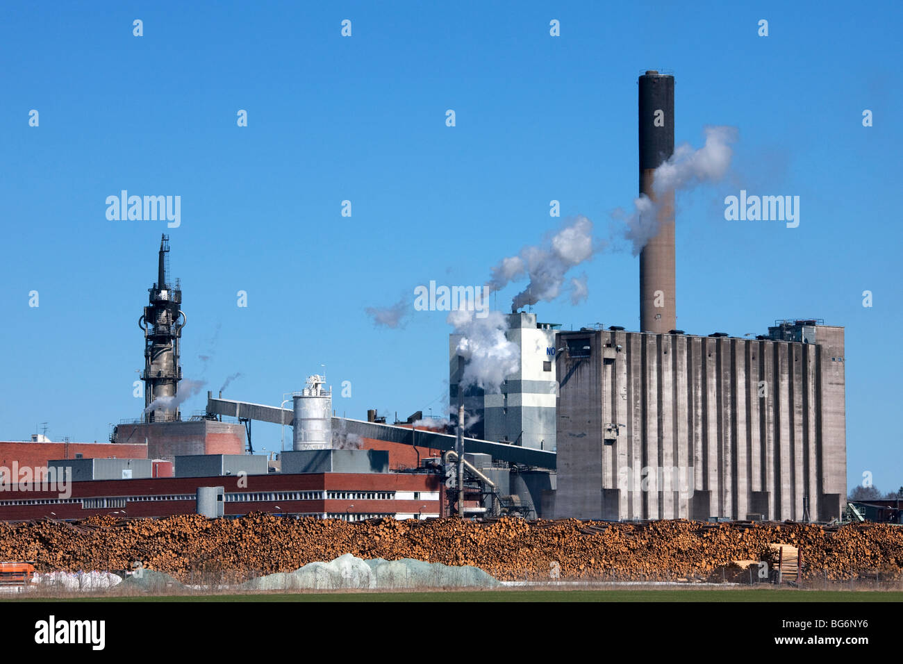 Wood piles of stacked pine trees from logging industry in front of pulp and paper mill, Sweden Stock Photo