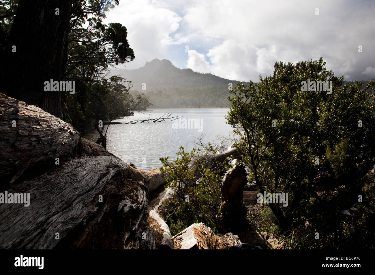lake st clair national park tasmania