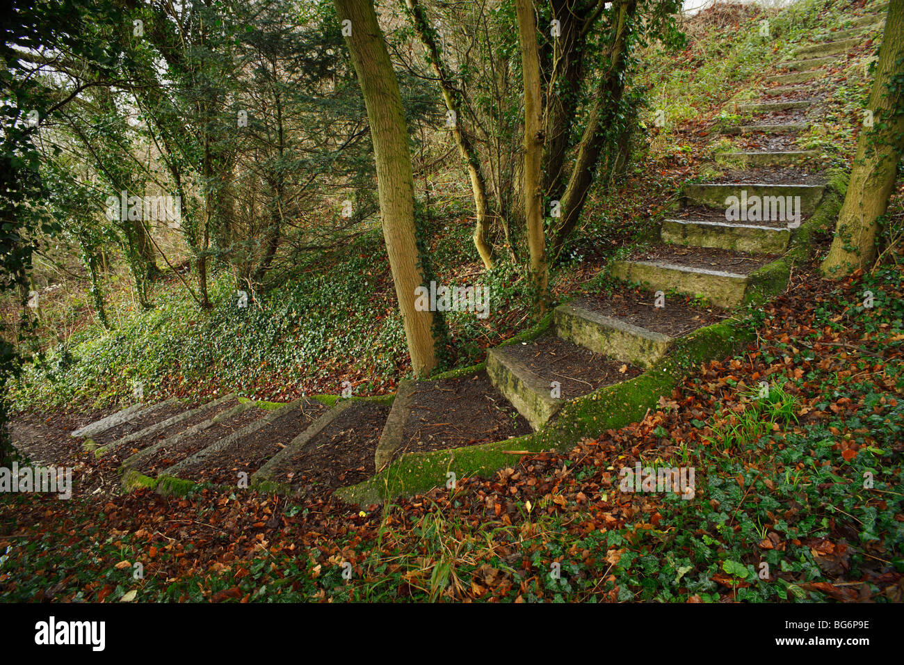 Stone steps. Stock Photo