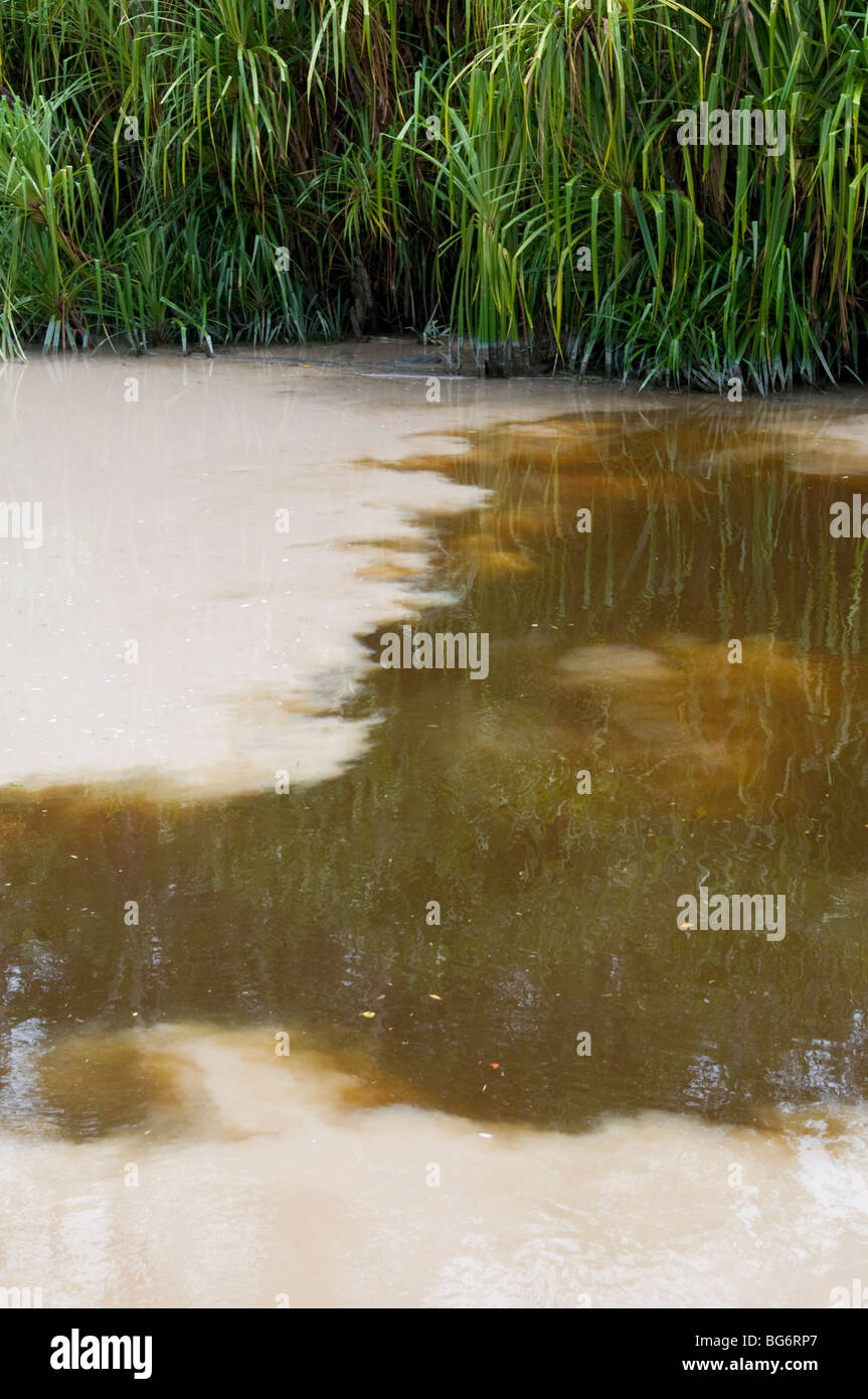 river in Borneo showing pollution caused by mining Stock Photo