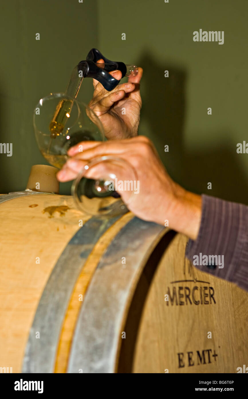 Winemaker demonstrating barrel testing of a Gewuerztraminer wine at Bonitas Winery, Summerland, Okanagan-Similkameen Region, Oka Stock Photo