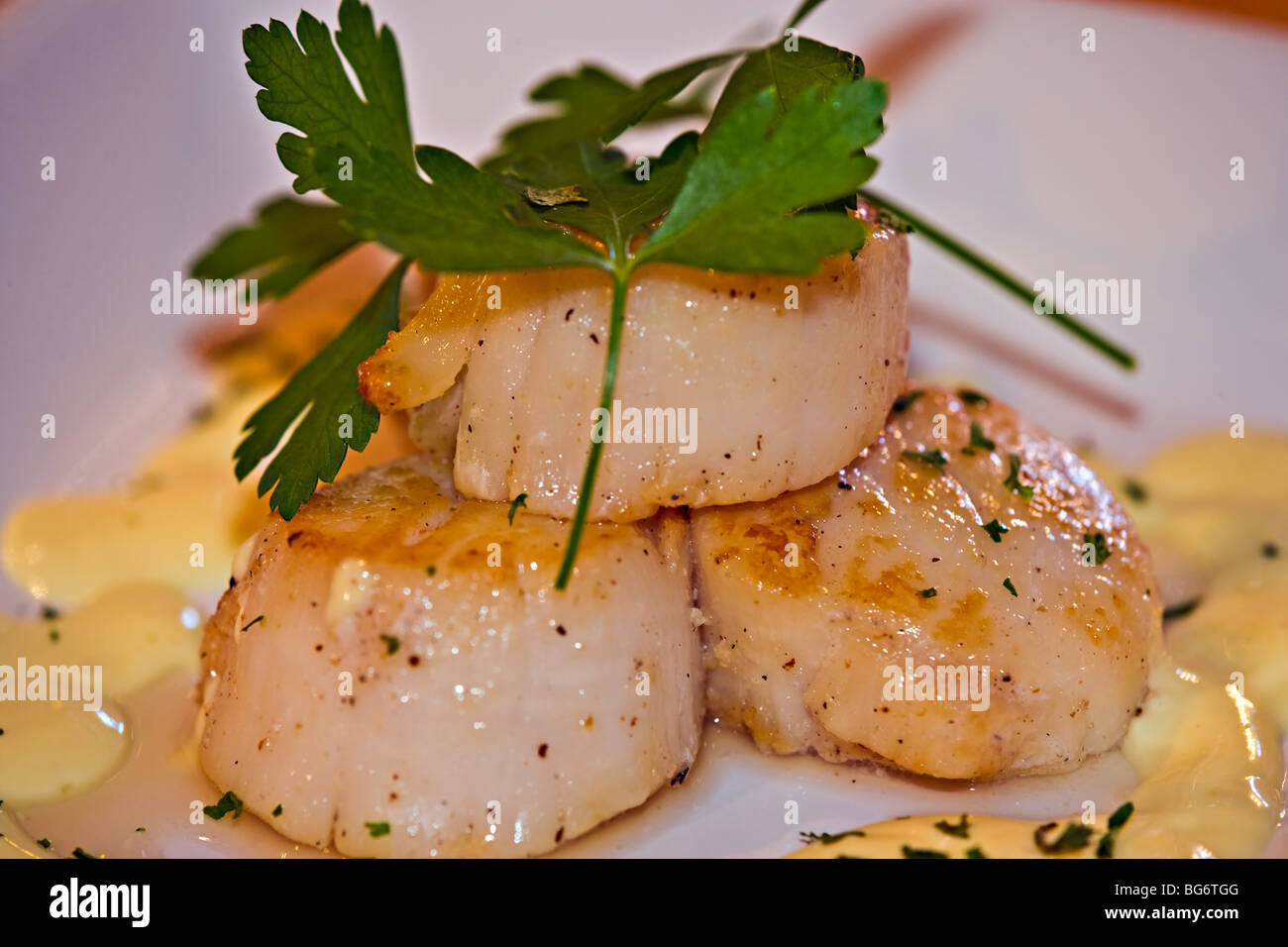 Seared Scallops with Hollandaise sauce, Tuckamore Lodge, Main Brook