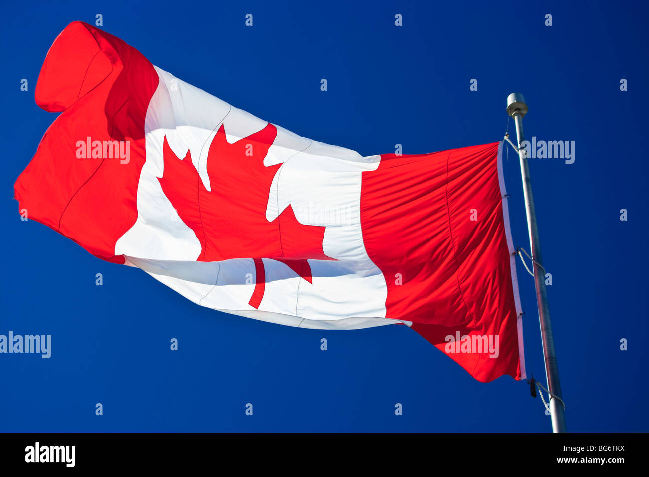 Large Canadian Flag flying at Sackville Landing, Halifax, Halifax Metro, Halifax Harbour, Nova Scotia, Canada. Stock Photo